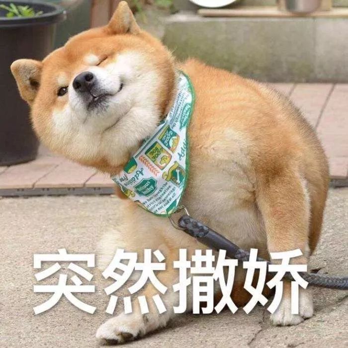 6afe04d09715429b8f0ff4313507479a.jpeg