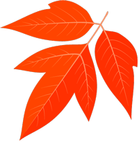 盘点国庆阅兵背景音乐