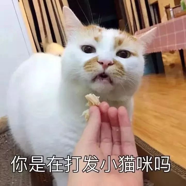 反差小表情盘点 83d9e57bc0a74ac6ac84cdbdd331a7fd.jpeg