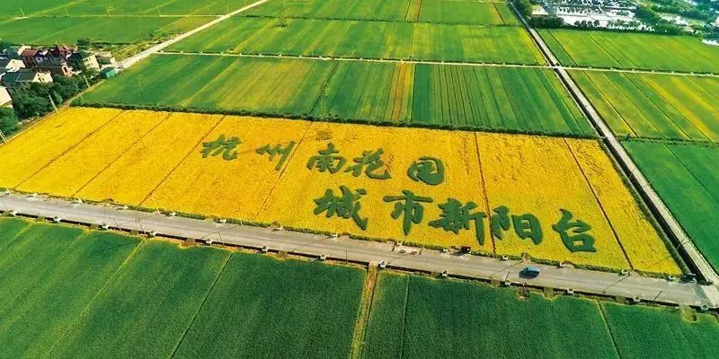 【关注】银泰入驻,数字赋能…萧山这个地方利好不断再升级