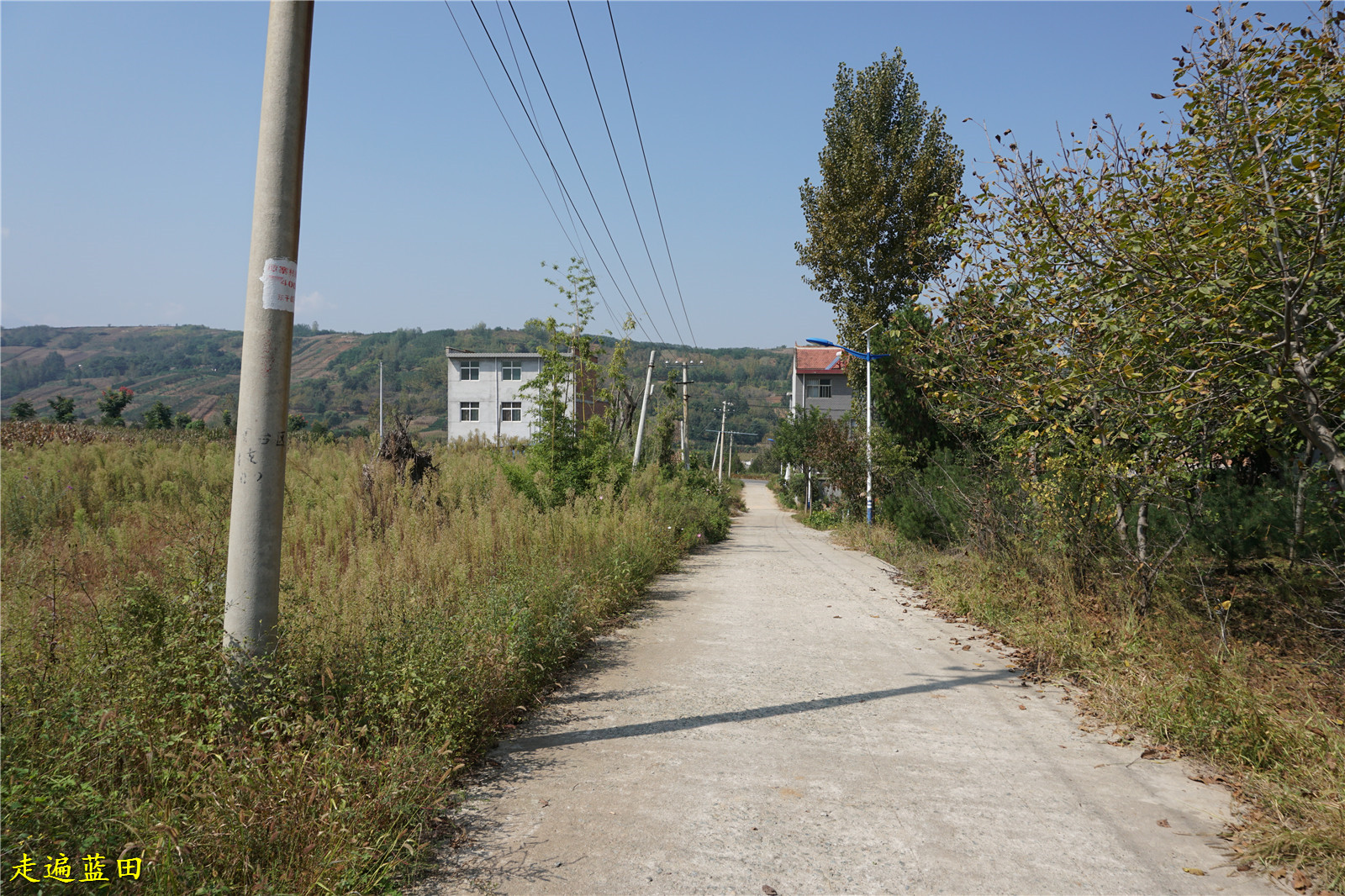 走遍蓝田,2019焦岱镇(鲍旗寨村)穿越旅行(5).