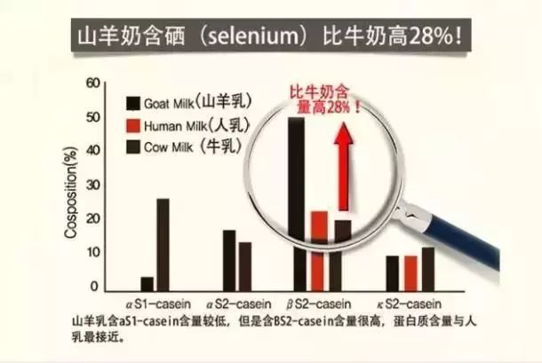 它是利用了什么原理_太阳灶是利用什么原理