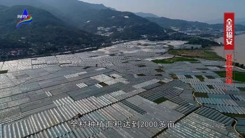 福安市赛岐镇gdp多少_诏安太平镇与南靖书洋镇,入选 一村一品 示范村镇名单