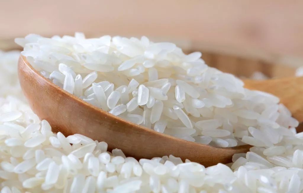 大米 b6cff1bcdb1242bea2ab4b657586ec6b.jpeg