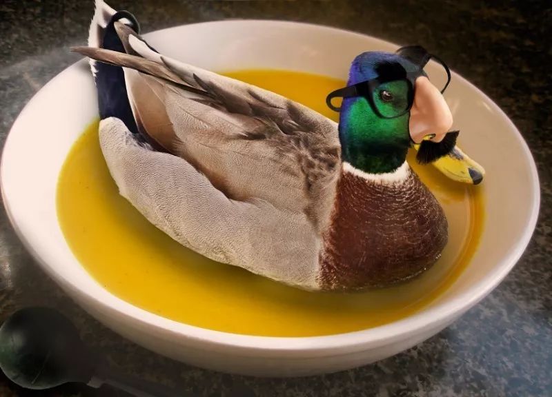 duck soup 可不光是"鸭子汤"