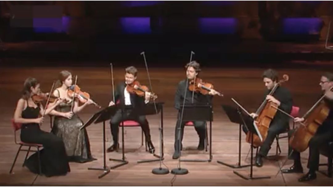 nineile小提琴谱_柴可夫斯基的假日游记 Janine Jansen演奏 佛罗伦萨的回忆 附小提琴谱