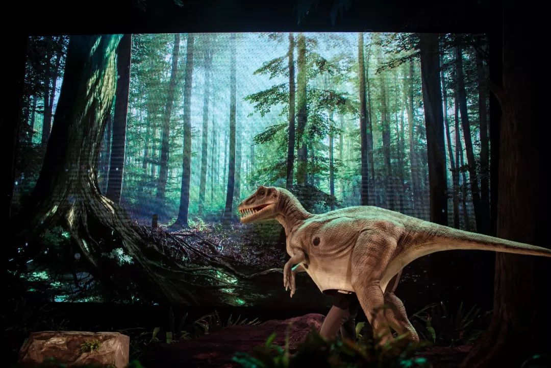 什么是史前怪兽 e3c829b591374c1d916e10e1cc820a56.jpeg