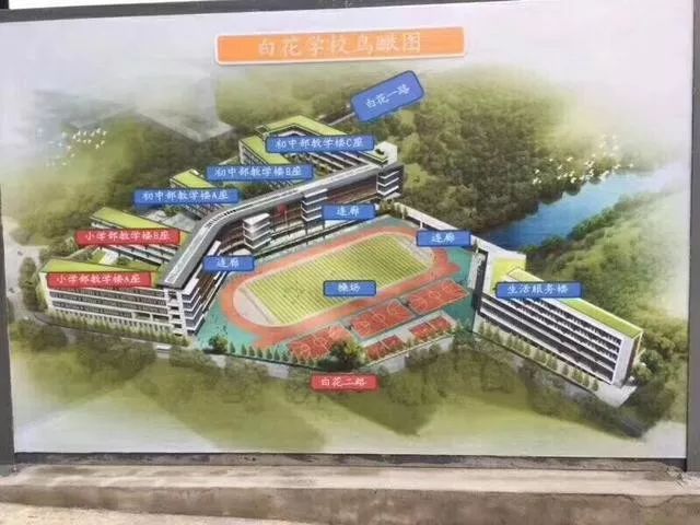 光明区:5所新改扩建学校 今年,光明区 全年新增义务教育公办学位11340