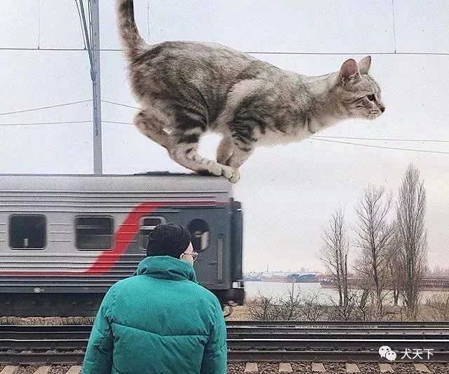 ec2e2786ba0248c49a3d1b8e6c20fe04.jpeg