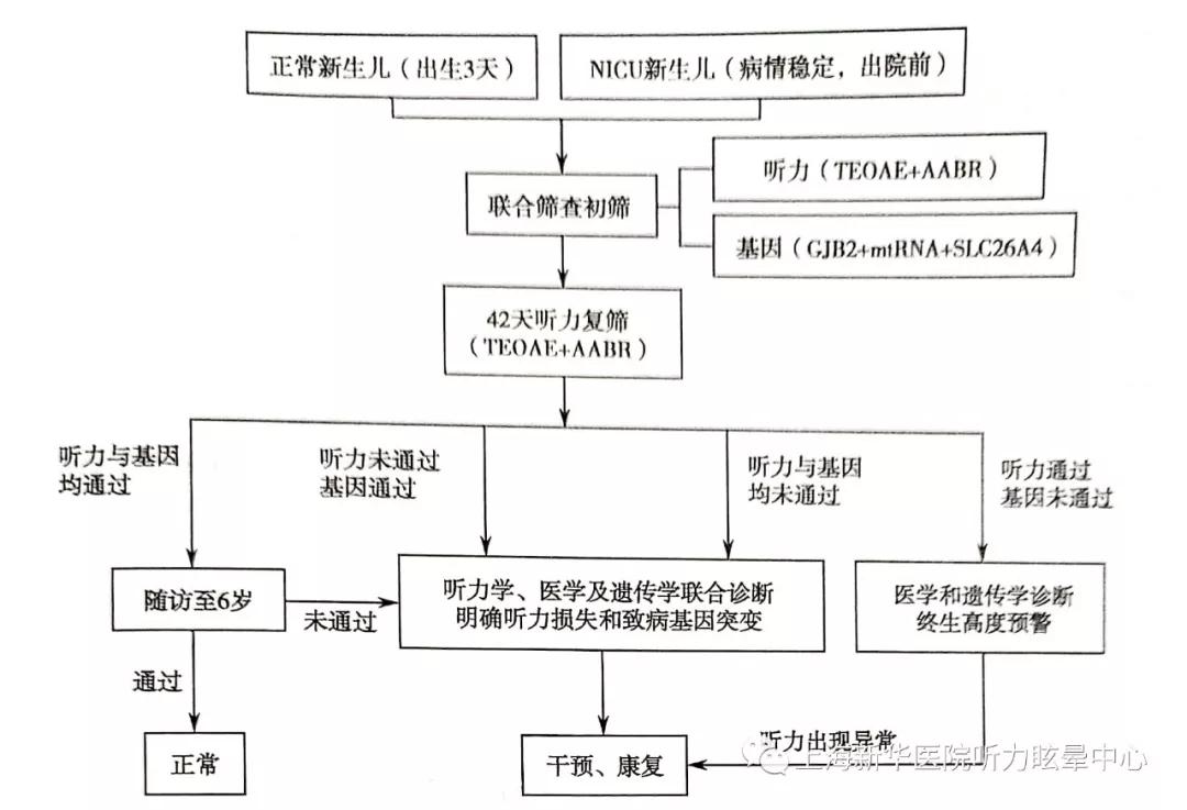 听力筛查的原理是什么意思_宫颈筛查是检查什么