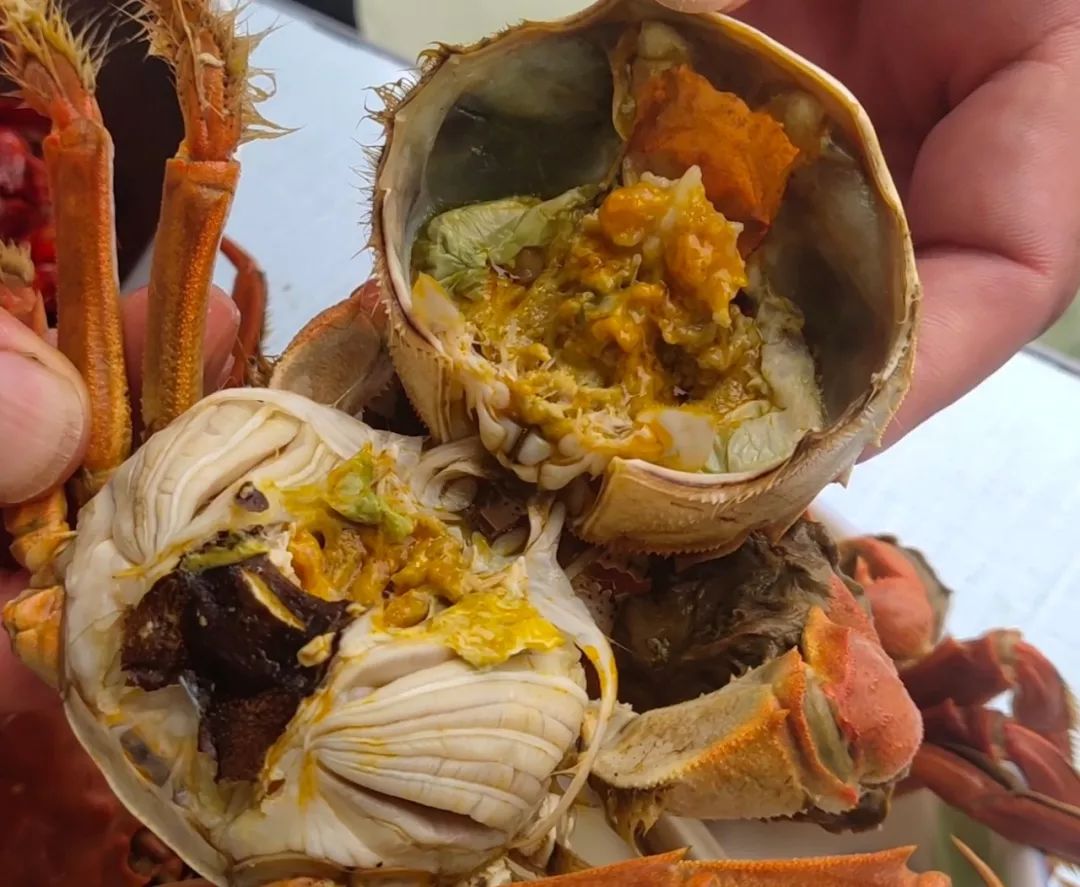 这个秋天,王老师邀请你一起吃螃蟹!