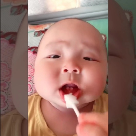 #儿科医生鲍秀兰#给只有两颗牙齿的宝宝刷牙，全程超配合，网友：如果刷掉了咋办？