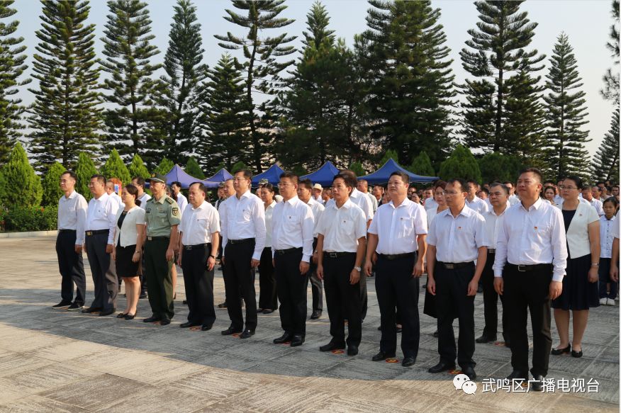 武鸣区举行烈士公祭活动掌上武鸣