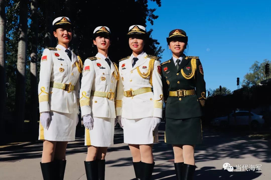 看海军天团里的五朵金花