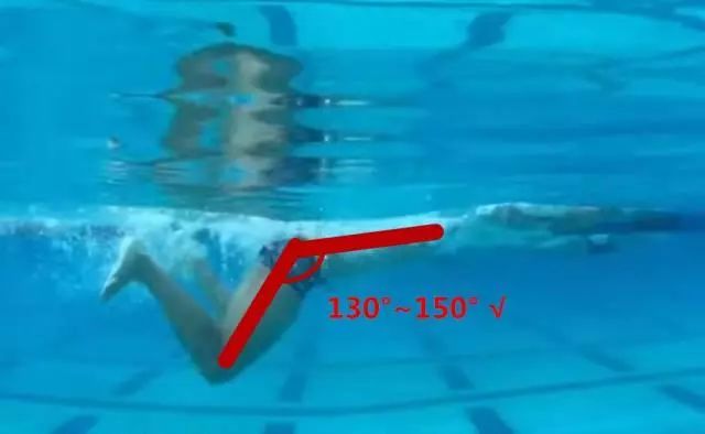 不克服这三个腿姿错误,蛙泳怎么会游得快?