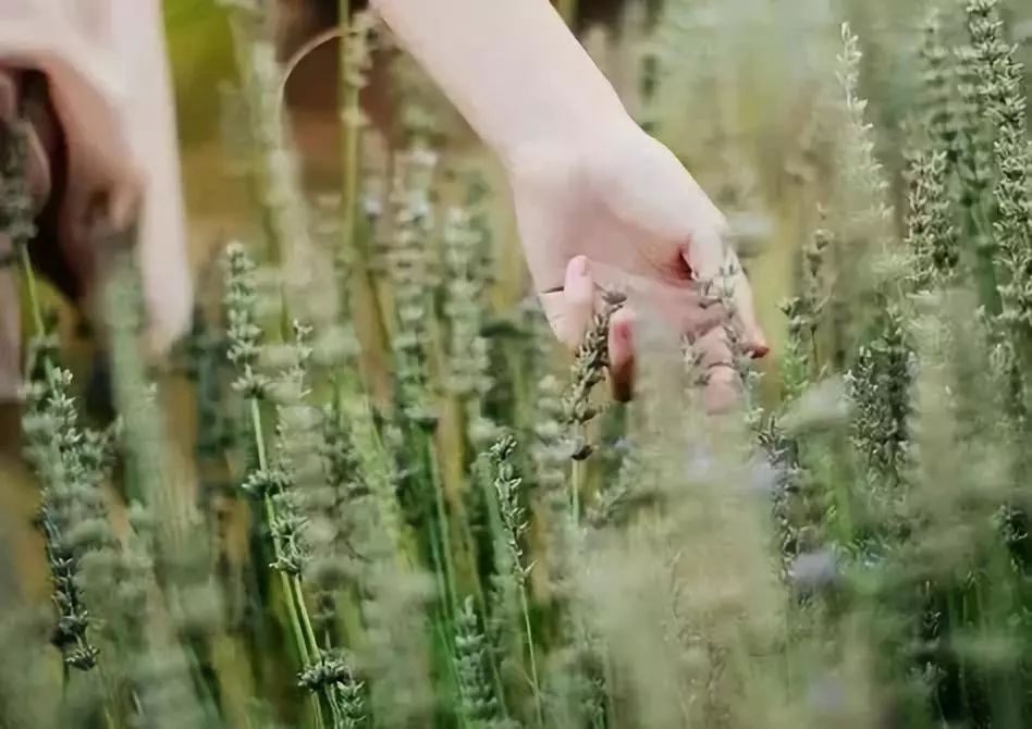 不是因为事情本身, 而是因为心的容量, 心宽,就不会愁眉苦脸, 心窄