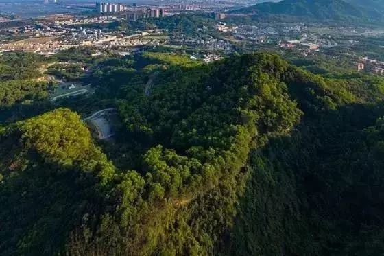 黄牛山共同助成翠亨村三面环山,一面临水的地理优势,登山可俯瞰孙中山