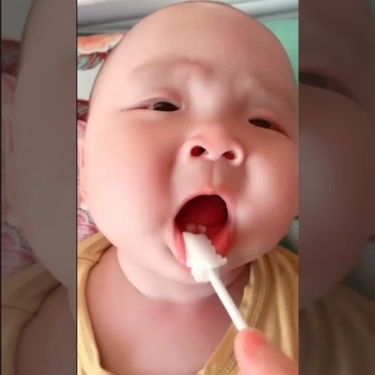 #儿科医生鲍秀兰#给只有两颗牙齿的宝宝刷牙，全程超配合，网友：如果刷掉了咋办？