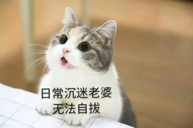 6448fb475fe84282bd431ea6dfd76497.jpeg