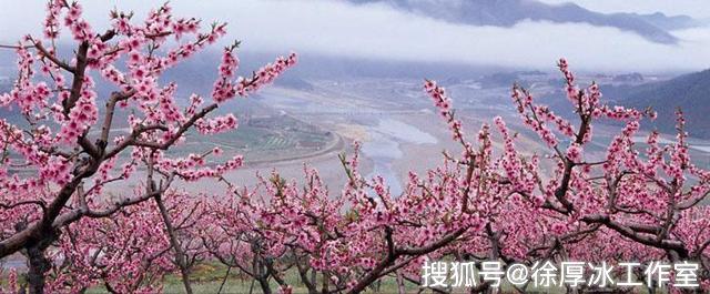 杨根思在广德桃花山首立战功，不容置疑