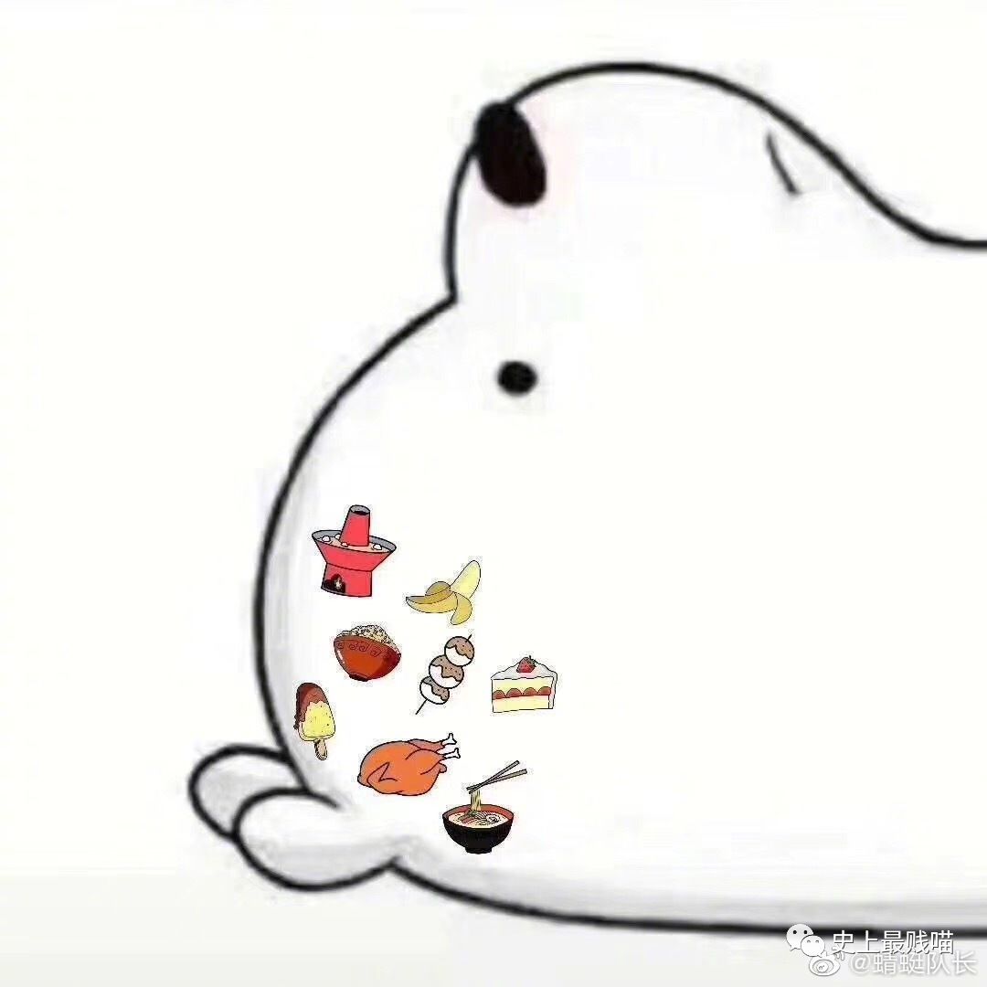 参加完阅兵的鸽子叫什么?差点被网友的脑洞