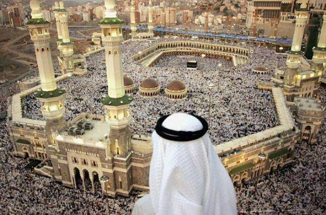 8254dcd3c62d4eebb5febba9d2da45fb.jpeg
