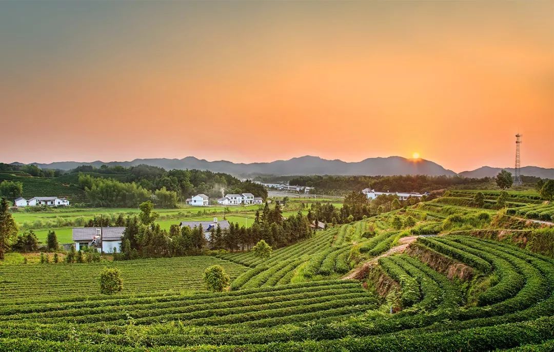 重庆茶园新区经济gdp_郭家沱大桥新开工,江南新城今年还将建一大波项目(2)