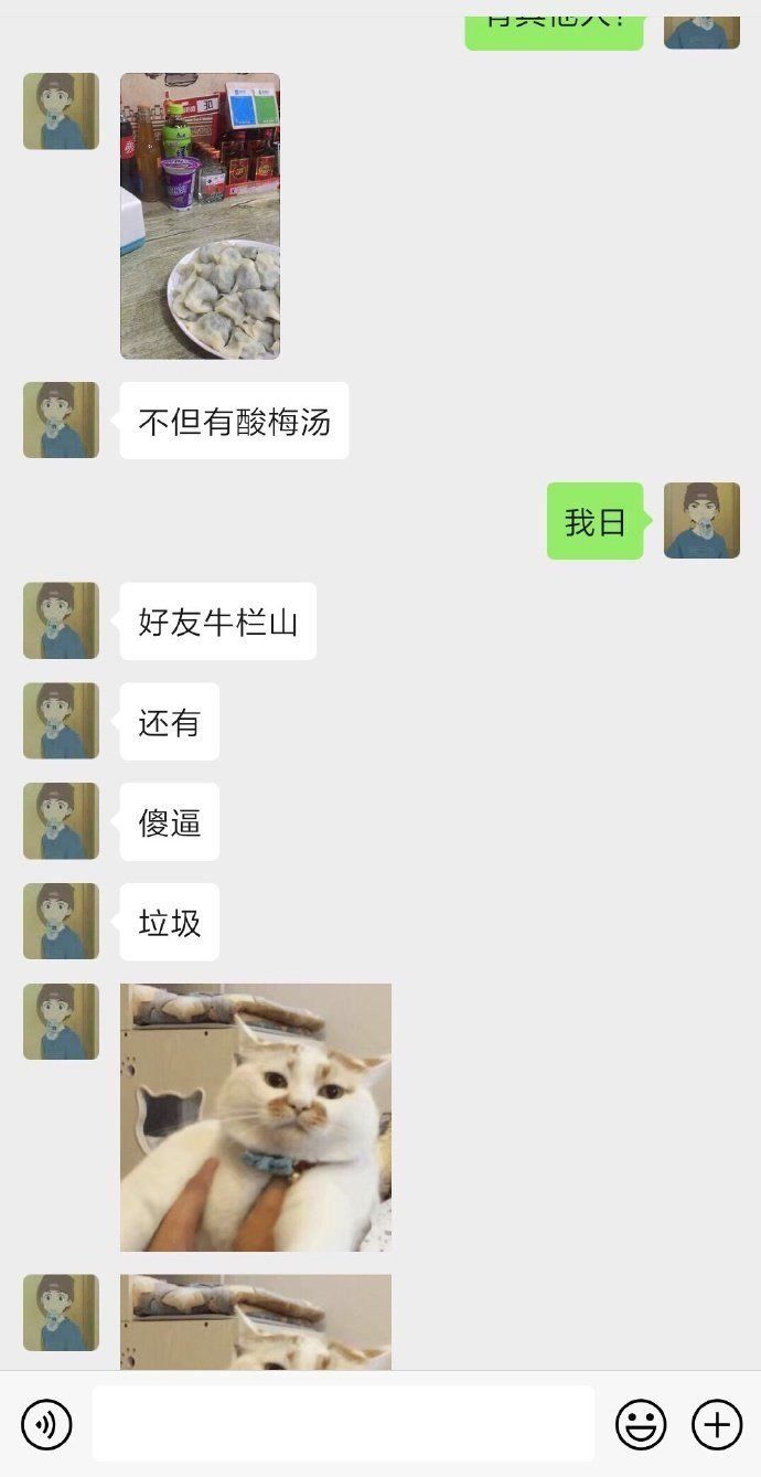 一对双胞胎猜一个成语_一幅简笔画猜一个成语(2)