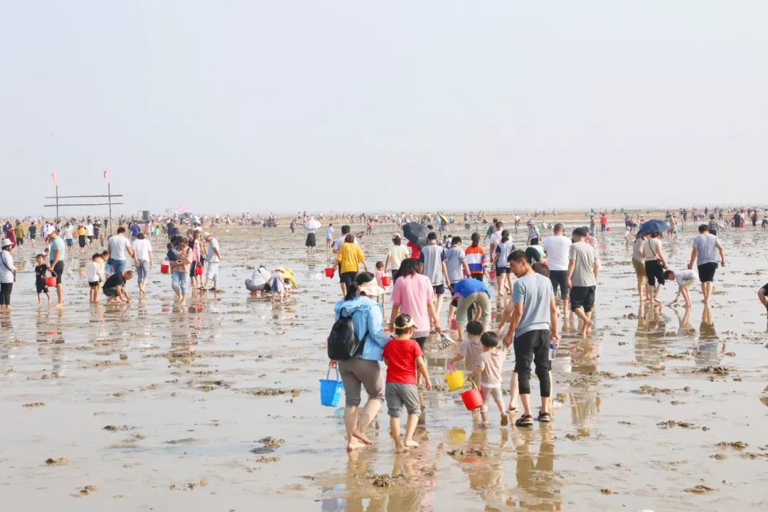 刘家湾赶海园,天台山旅游区,丁肇中祖居……日照东方太阳城各景区火了