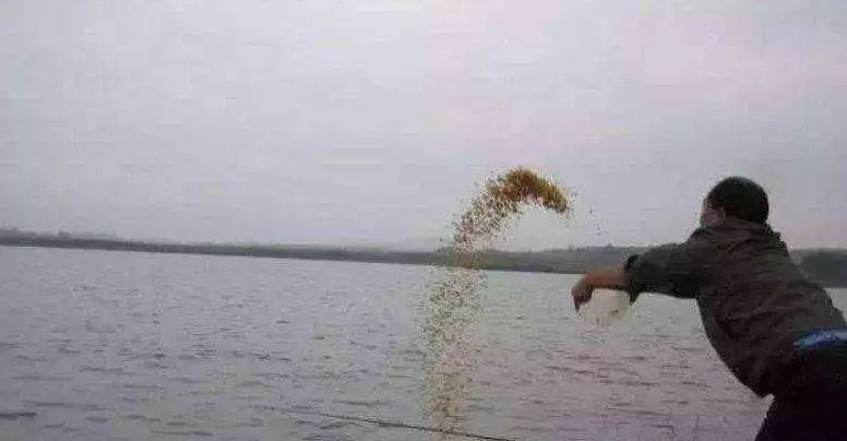 “打窝子”时下什么、下多少、下到哪?懂了这三点才是高手