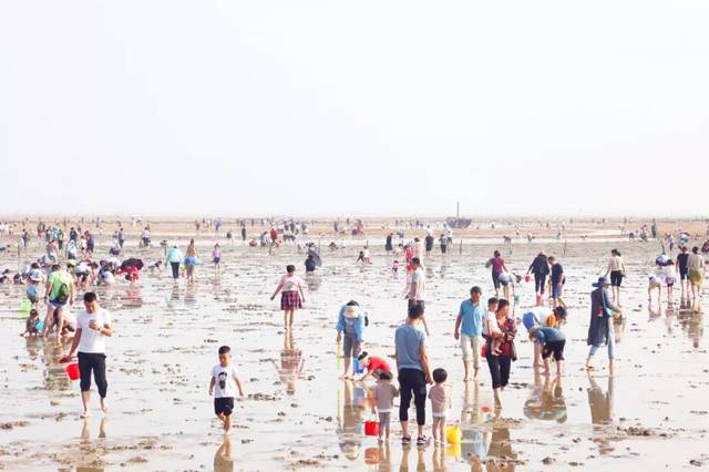 刘家湾赶海园天台山旅游区丁肇中祖居日照东方太阳城各景区火了