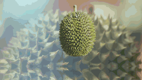 bff242e7cc954113822248cbb1490a4c.gif