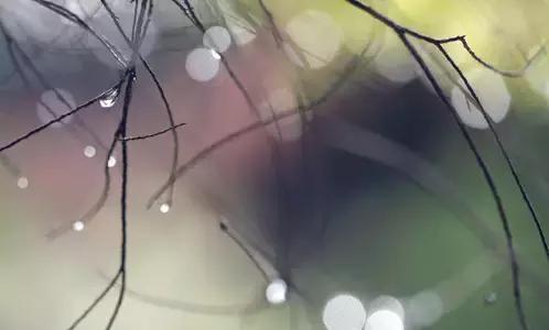 时间煮雨 c89068314c5a42248d5f565390e0b8a2.jpeg