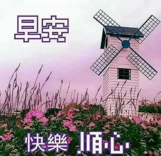 峿ʺϺõƯʻͼƬ,Ϻܰף¼ͼƬ