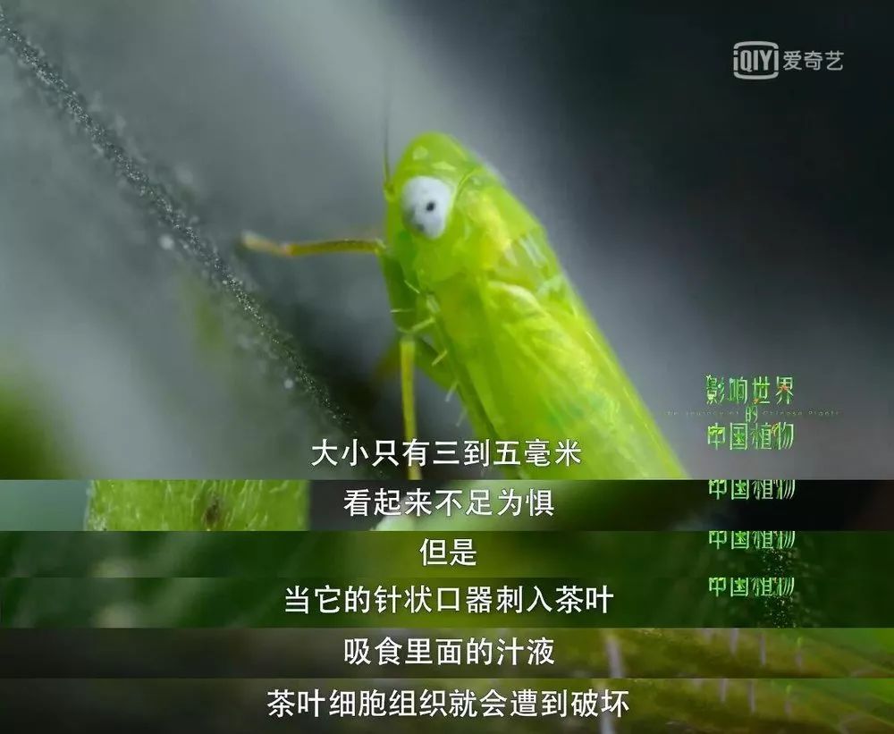 ed50f9a47cf14b19872c0f8f380bf143.jpeg