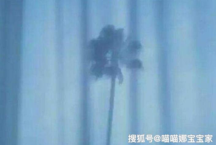 ed6372dbf0cf47a9ab600e95769eb561.jpeg