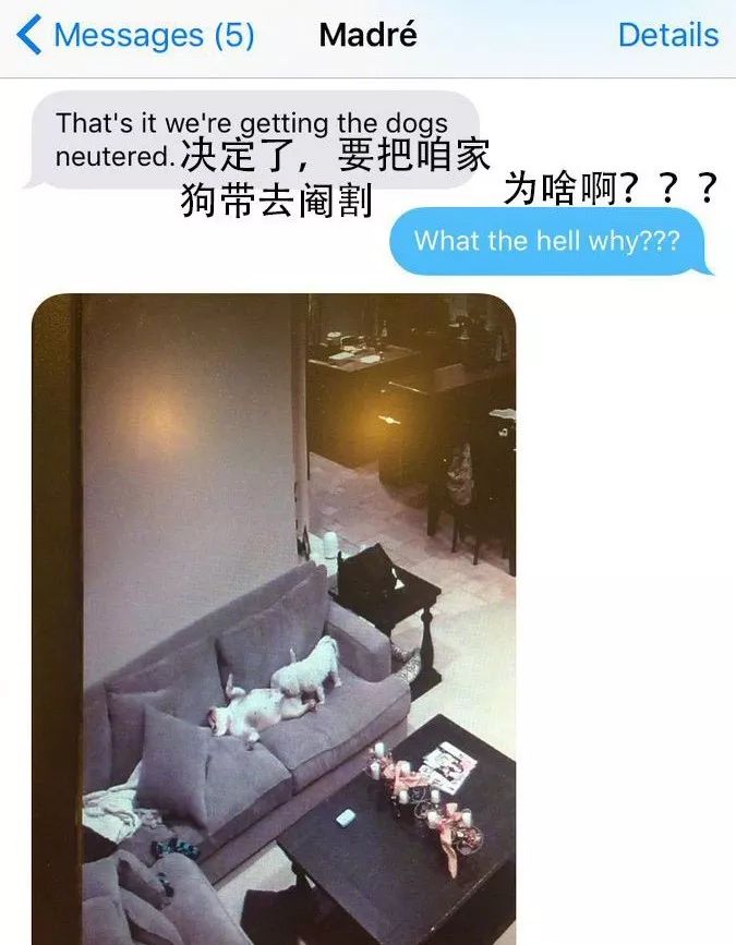 f7bf910261604087abaa98c5d7b90c52.jpeg