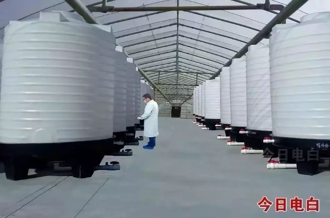 电白gdp_电白一中(3)