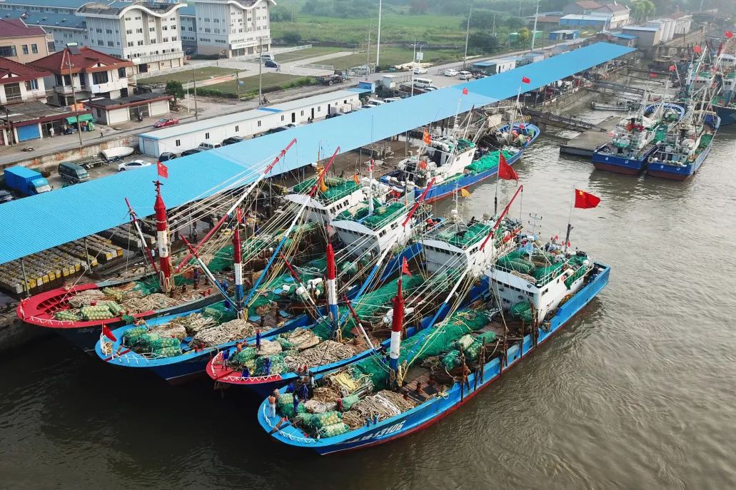浏河渔港:江尾海头第一港