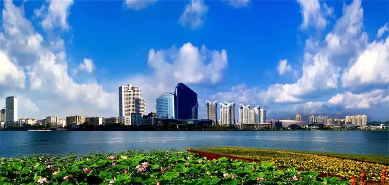 雨城区gdp_四川雅安飞地村找到致富新路子 国内新闻 国内国际(2)