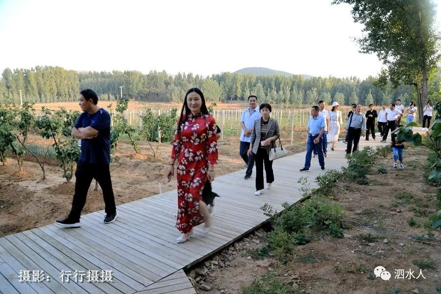 山东泗水美丽乡村东仲都现在变化太大了