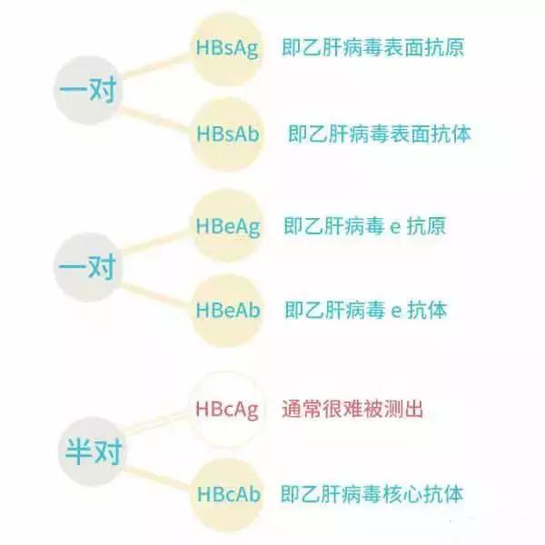 gdp阳性是什么意思_gdp什么意思(2)