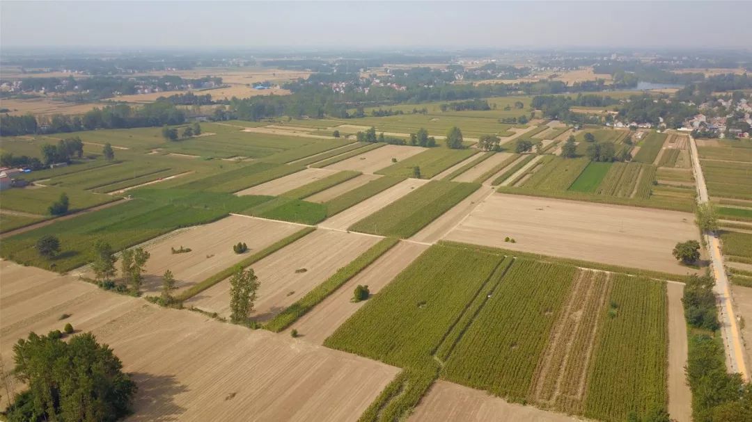 什么是庄稼地好朋友 5410d94eddd3470aa68f42fb57f95db2.jpeg