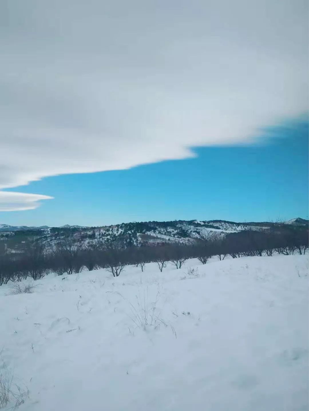 56f2663ba6224b7298476f8443ebdb0e.jpeg