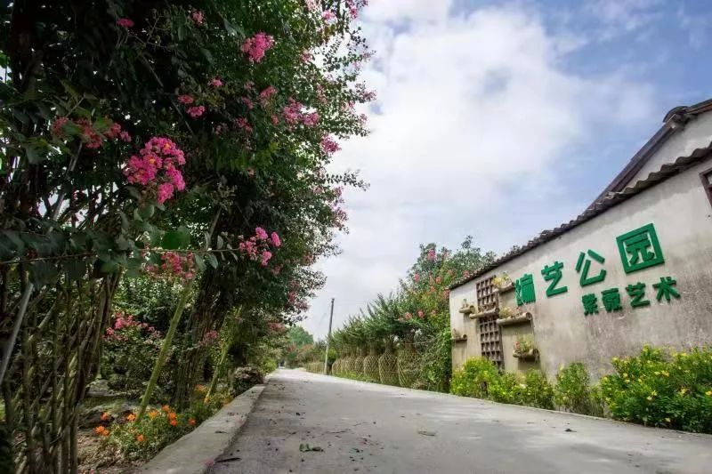 江林镇人口_江林医药(3)