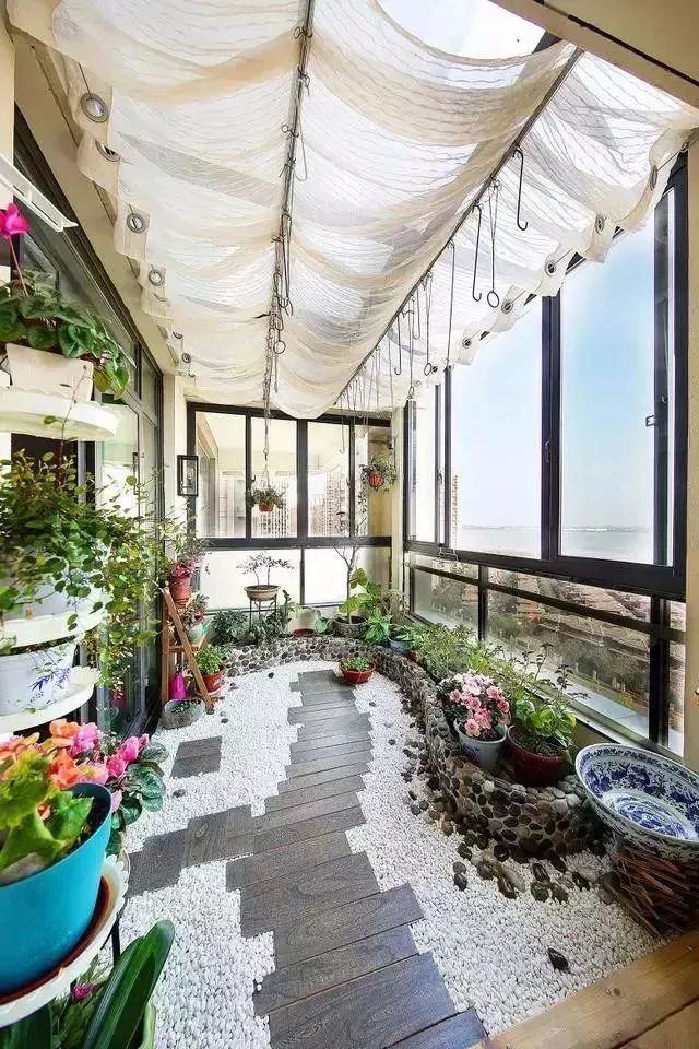 阳台种什么植物好四季 94d54f868fbe4f41809507c40e4ca4b4.jpeg