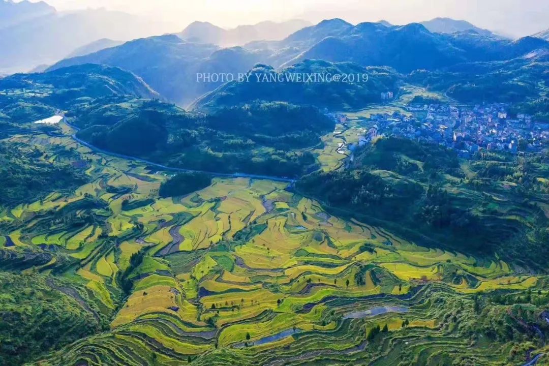 金色浪花,迷人稻香……十一不可错过茗岙梯田美景!