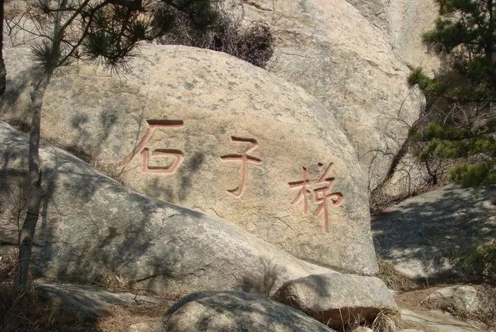 响石村人口_人口普查(3)