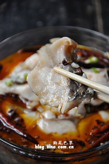 正宗水煮鱼片的正宗做法 aba7e1142e714da095ec7ae140526952.jpeg