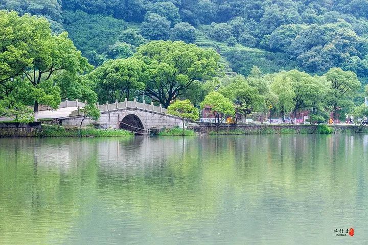 因为 南环村灯火通明照亮城市 这一切都让海盐变成了一副山水画卷 我